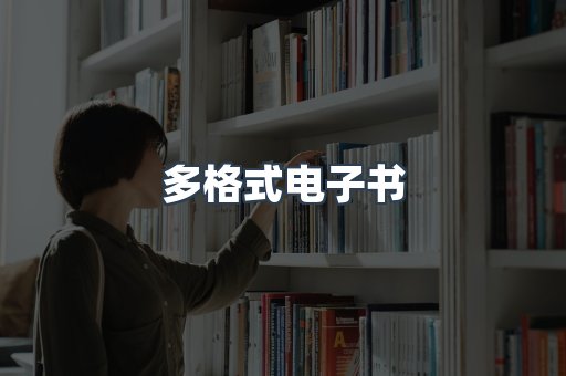 多格式电子书